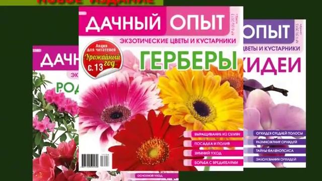 Журнал "Дачный опыт" смотреть онлайн