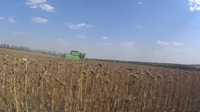Черное золото, или уборка подсолнечника. ДОН-1500Б + ПСП-10, ГАЗ-3307, МТЗ-1221.2 + БДМ- 3.2х2 смотреть онлайн