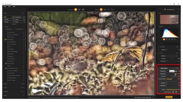 My favourite image processing software in action – the Nik Collection смотреть онлайн