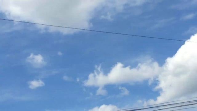 #Pigeon.Почему чубатых и лохмоногих голубей многие шитают тупыми и слабоми? смотреть онлайн