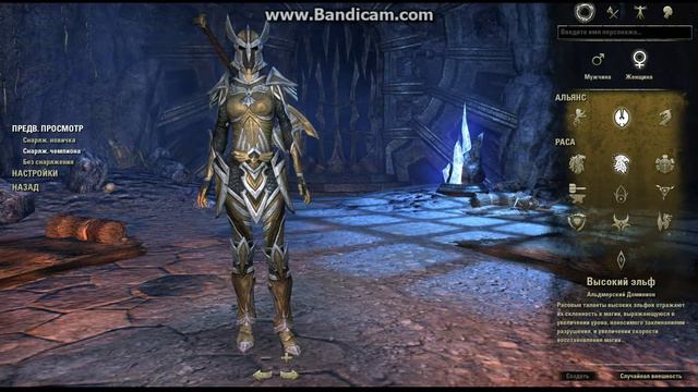 Обзор/мнение о The Elder Scrolls Online | PC смотреть онлайн