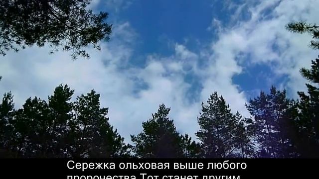 караоке сережка ольховая смотреть онлайн