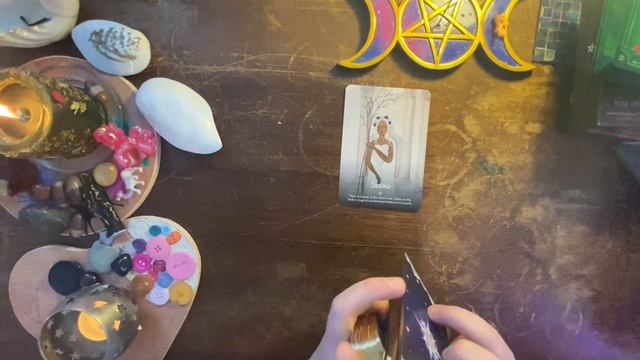 The Frost Spread : Tarot Vlogmas day 7 смотреть онлайн