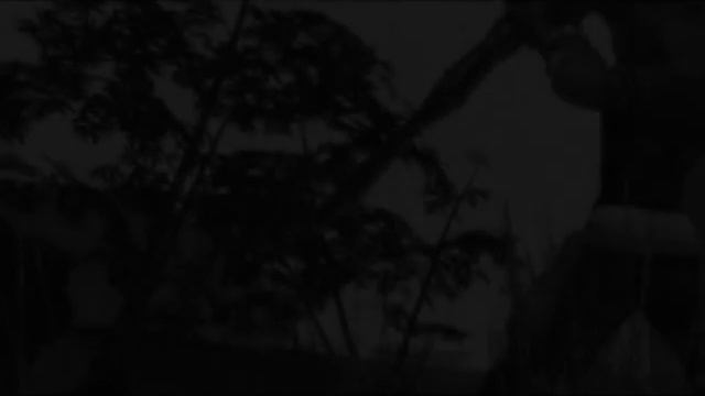 RF Online - Prologue смотреть онлайн