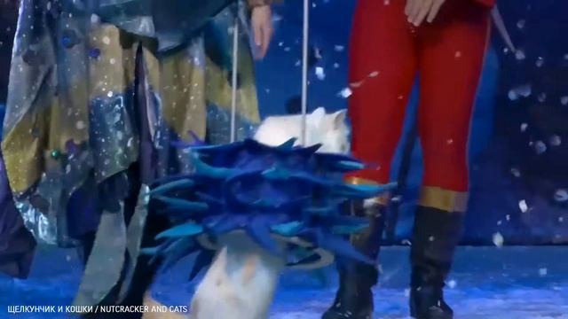 Щелкунчик и Кошки/ Nutcracker and Cats. Танец зловещих снежинок и кошек. смотреть онлайн