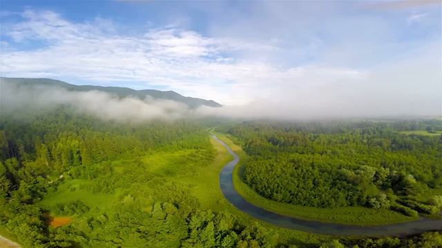 ВОССТАНОВЛЕНИЕ НЕРВНОЙ СИСТЕМЫ 🌿 Нежная музыка, успокаивает нервную систему и радует душу #38 смотреть онлайн