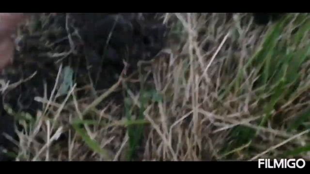 Коп с металоискателем TX 850. Вырезки моих находок. смотреть онлайн