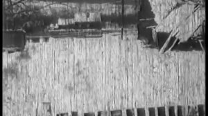 Капля калмыцкой крови