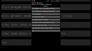 Активация опций при помощи PyClip DACIA 176+