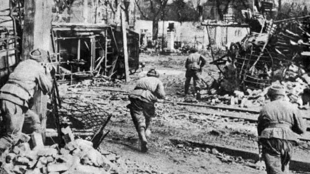 Майма военная. смотреть онлайн