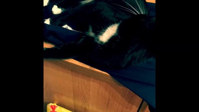 Люся Скучает 🤗 смотреть онлайн