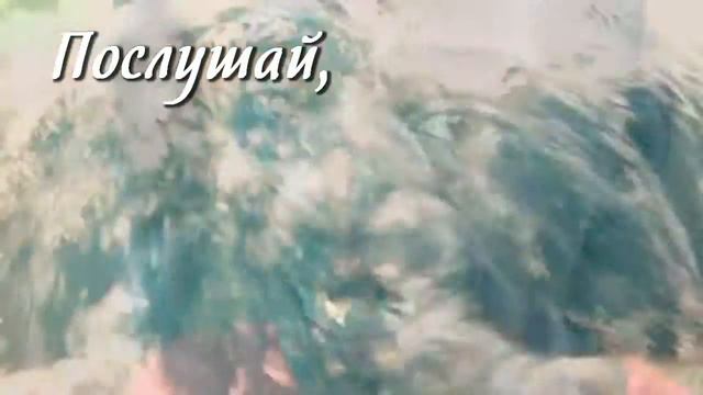 Свободен я! смотреть онлайн