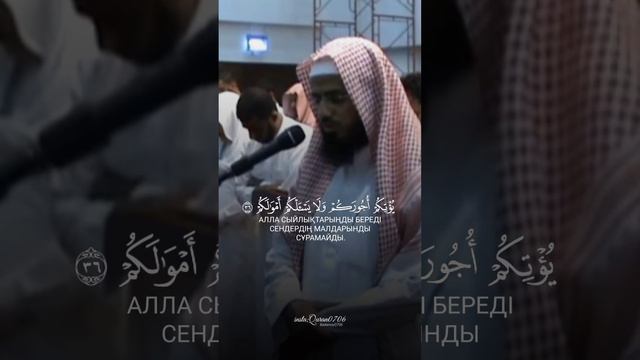 Сура Мухаммад 47;33-38 Аят смотреть онлайн