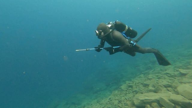 Spectre Frogman смотреть онлайн