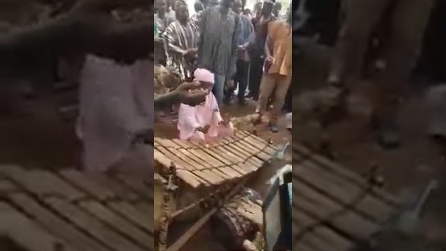 A dagaaari woman playing xylophone смотреть онлайн