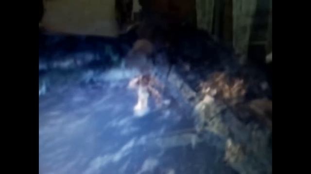 Asus Eee PC 1201n NetBook 12.1