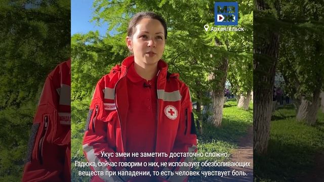 МЗЖ: Как избежать встречи со змеёй? смотреть онлайн