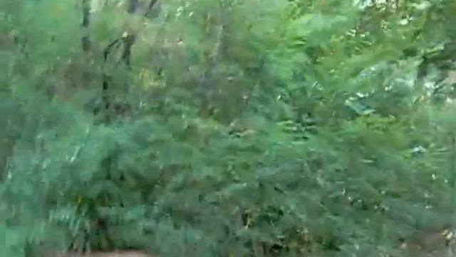 Восхождение на Терикон :)) Донецк смотреть онлайн