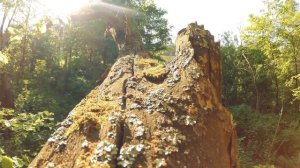 Шикарная природа Самарской области   Шигонский район