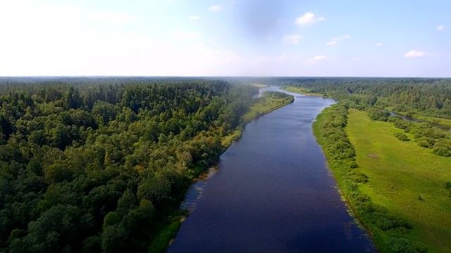 Ленинградская область, Волосовский район, около д. Редежа. Река Луга смотреть онлайн