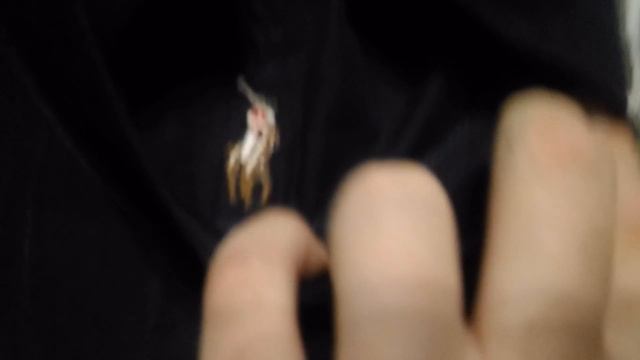 ОБЗОР НА КЕПКУ RALPH LAUREN (РАЛЬФ ЛОРЕН) С РАЗНОЦВЕТНЫМ КОНЕМ смотреть онлайн