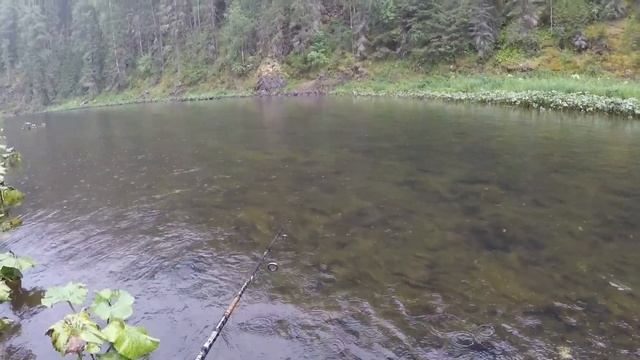 РЕКА СЕРЕБРЯНАЯ - "ПОЛОСАТАЯ" и "ЗУБАСТАЯ"! Поисковая рыбалка с другом. смотреть онлайн