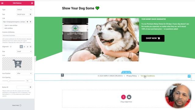 High Converting WORDPRESS Landing Page Builder for CPA Affiliate Marketers | Elementor смотреть онлайн