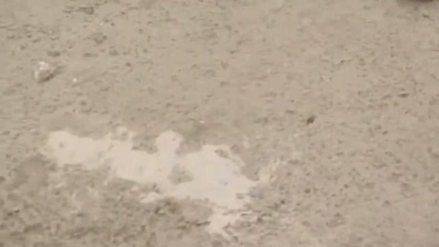 ЕДЕМ НА ОБЬ! ЗА БОЛЬШОЙ РЫБОЙ!