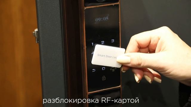Биометрический дверной замок Smart lock Z001D. Видеообзор. смотреть онлайн