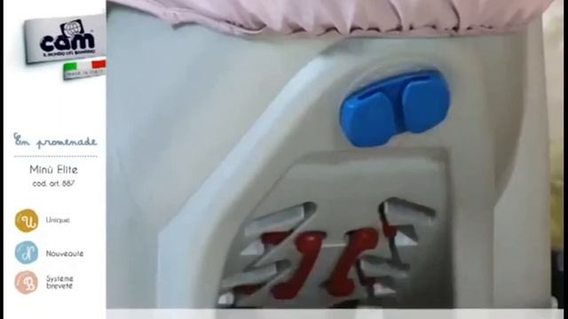 Детская коляска Cam Minu Elite