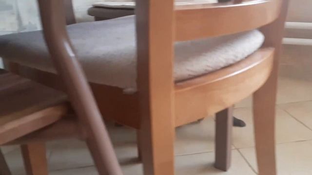 Как перевозить кота в машине смотреть онлайн