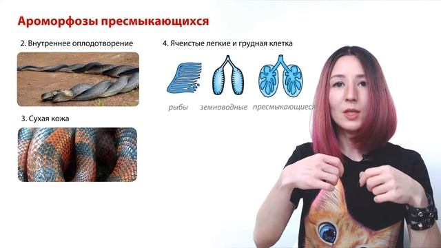 Зоология | Сборник Рохлова | Задания с рисунками | ЕГЭ-2024 по биологии смотреть онлайн