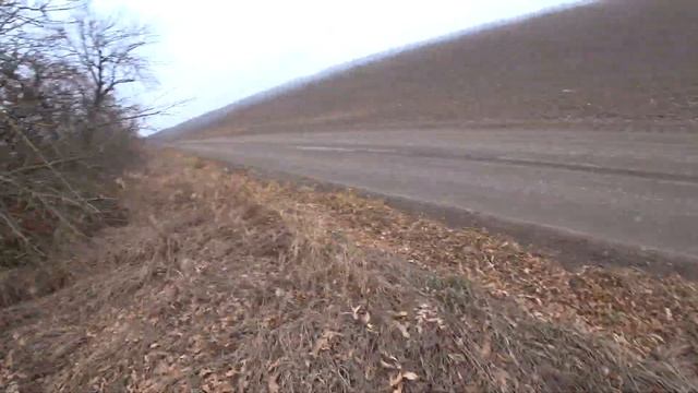 Охота на фазана. Да сколько его здесь!? смотреть онлайн