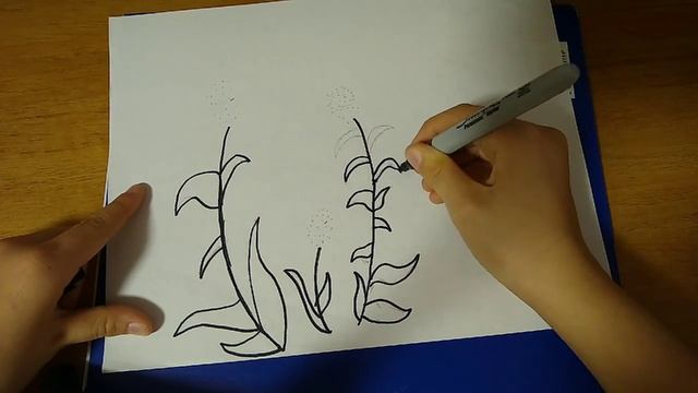 как нарисовать подорожник? смотреть онлайн