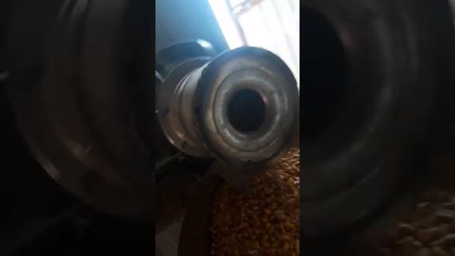 Очистка кукурузы от кипятка.. смотреть онлайн