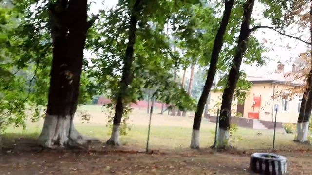 //Як купуємо дрова і в кого//Виписуємо і проплачюємо соснові дрова//Баришівське лісництво// смотреть онлайн