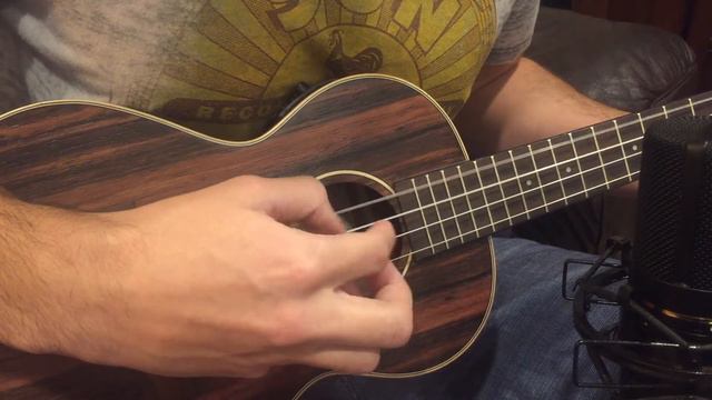 We're going to be friends - Ukulele Cover смотреть онлайн