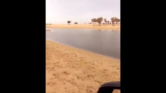 Как живет самый богатый принц Дубая 720p смотреть онлайн