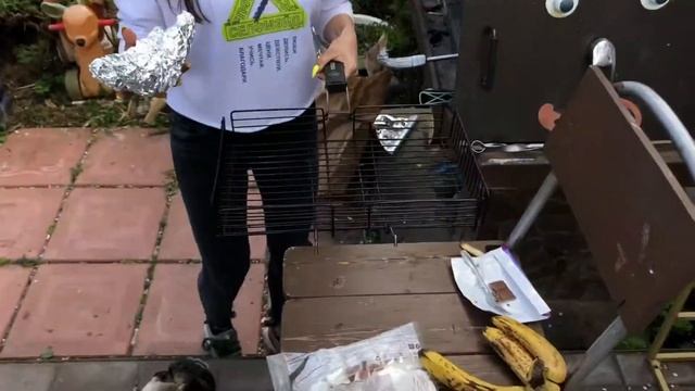 Фитнес для Женщин