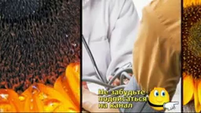 Семечки подсолнуха от гипертонии смотреть онлайн