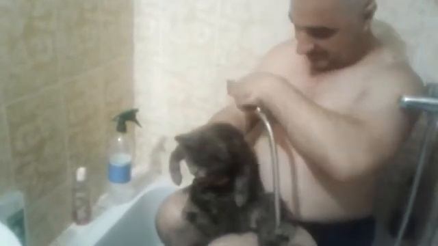 У Тошки и Мурчика банный день смотреть онлайн