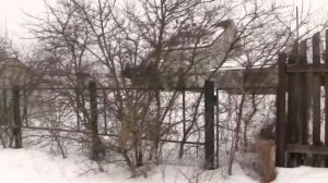 зимние подпорки в парнике