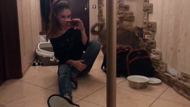 Как Пум фотографируется ;) смотреть онлайн