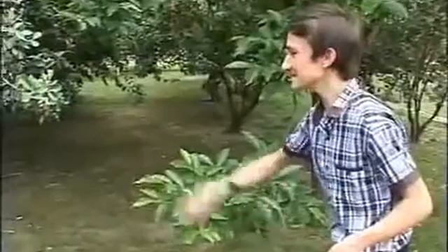 Мама меня отправила кормить курей смотреть онлайн