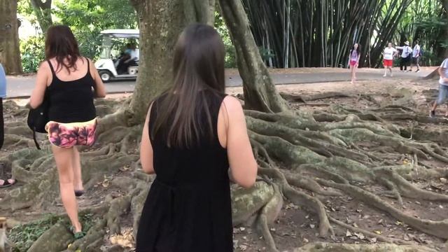 Royal Botanic Gardens Peradeniya - Sri Lanka. Ботанический сад Шри Ланка смотреть онлайн