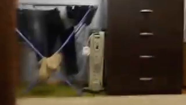 как научится стоять на руках смотреть онлайн