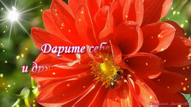 Как быстро лето пролетело, не успели отдохнуть! Последний Летний День! смотреть онлайн
