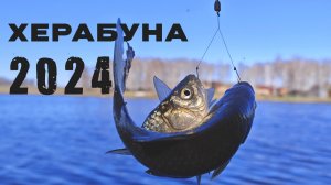 Первый карась. Апрель. Ледяная вода