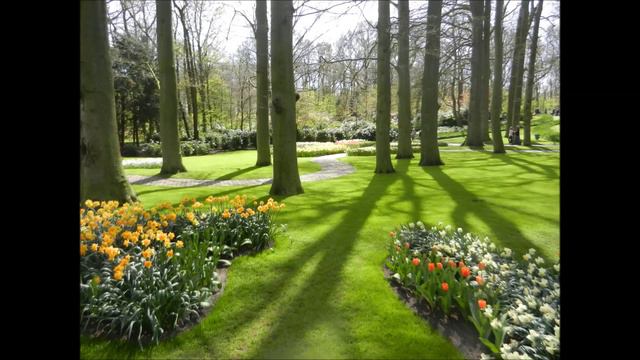 W.A. Mozart - Sonata no.11, (K.331) mov. 2 Menuetto смотреть онлайн