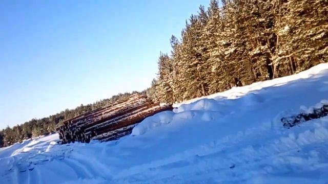 иж 58 полева 3 главпатрон дробь 0 и феттер 3 дист 40 м смотреть онлайн